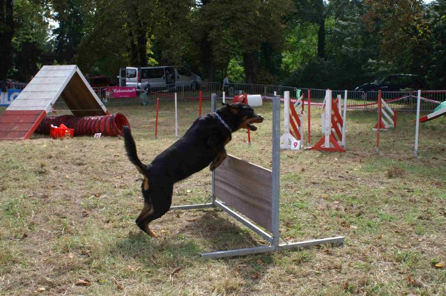 foire-haricots 2011-09-17et18